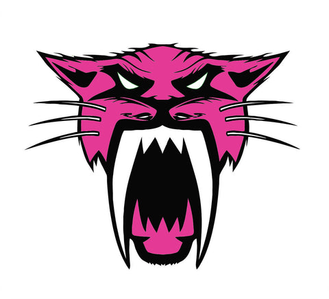 Arctic Cat pink vinyl decal sticker with free shipping- All Sizes - green-back-graphics