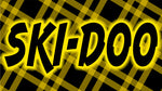 SKI DOO Snowmobile Banner 2' x 4' - 50