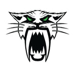 Arctic Cat vinyl decal sticker with free shipping- All Sizes - green-back-graphics