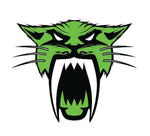 Arctic Cat green vinyl decal sticker with free shipping- All Sizes - green-back-graphics