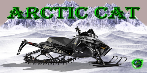 Arctic Cat Banner 2x4'